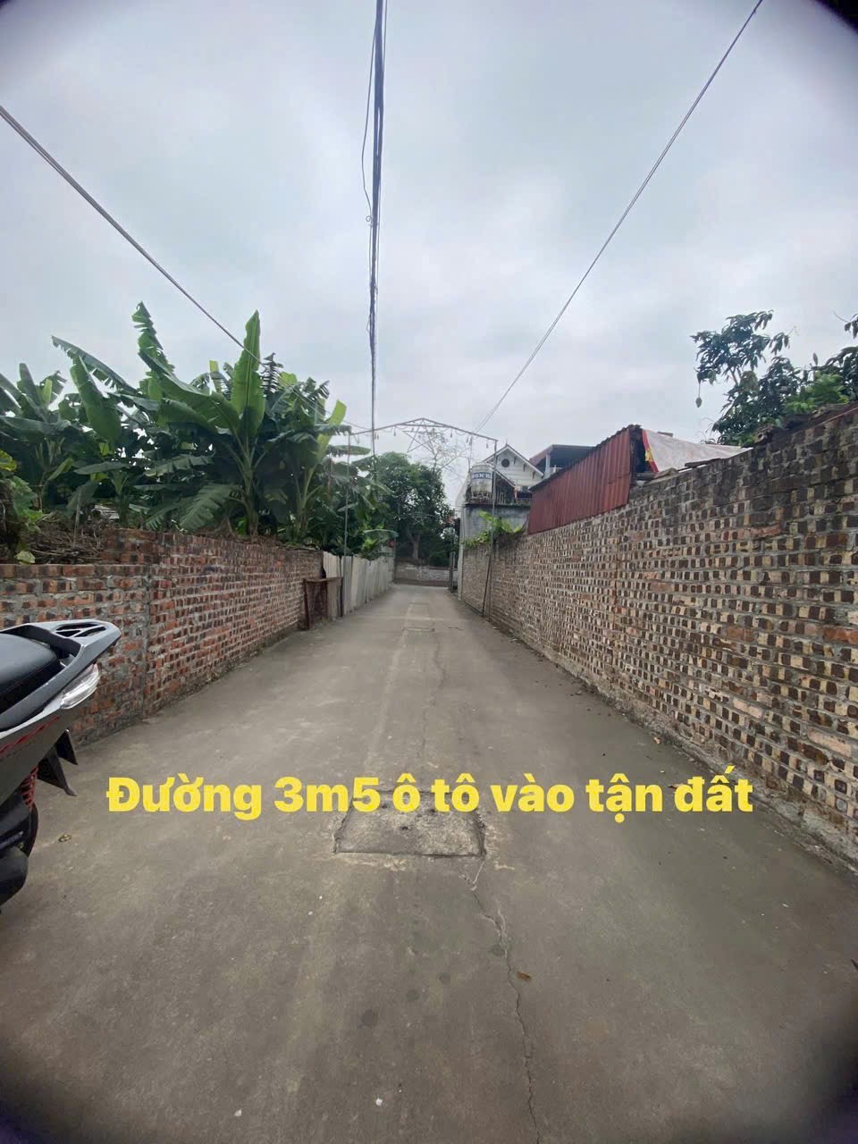 Đất phủ lỗ sóc sơn