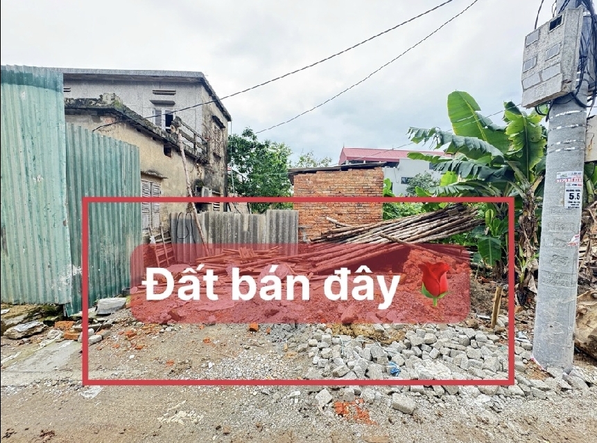 Siêu phẩm hoàng duong mai đình
