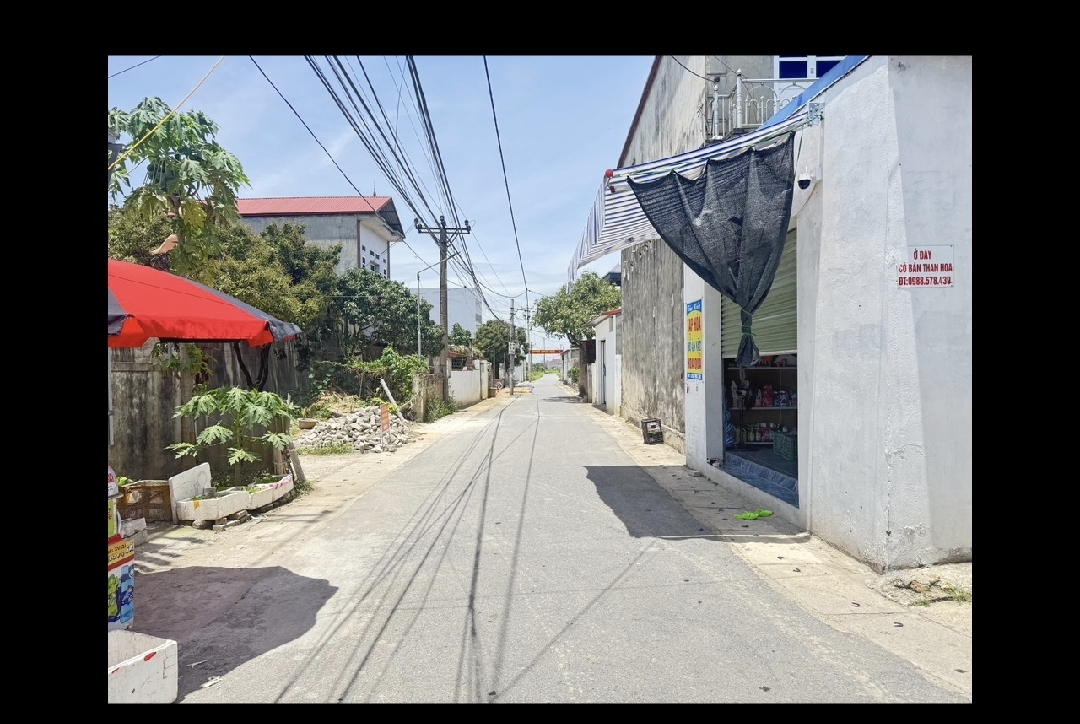 Siêu phẩm đông bài mai đình