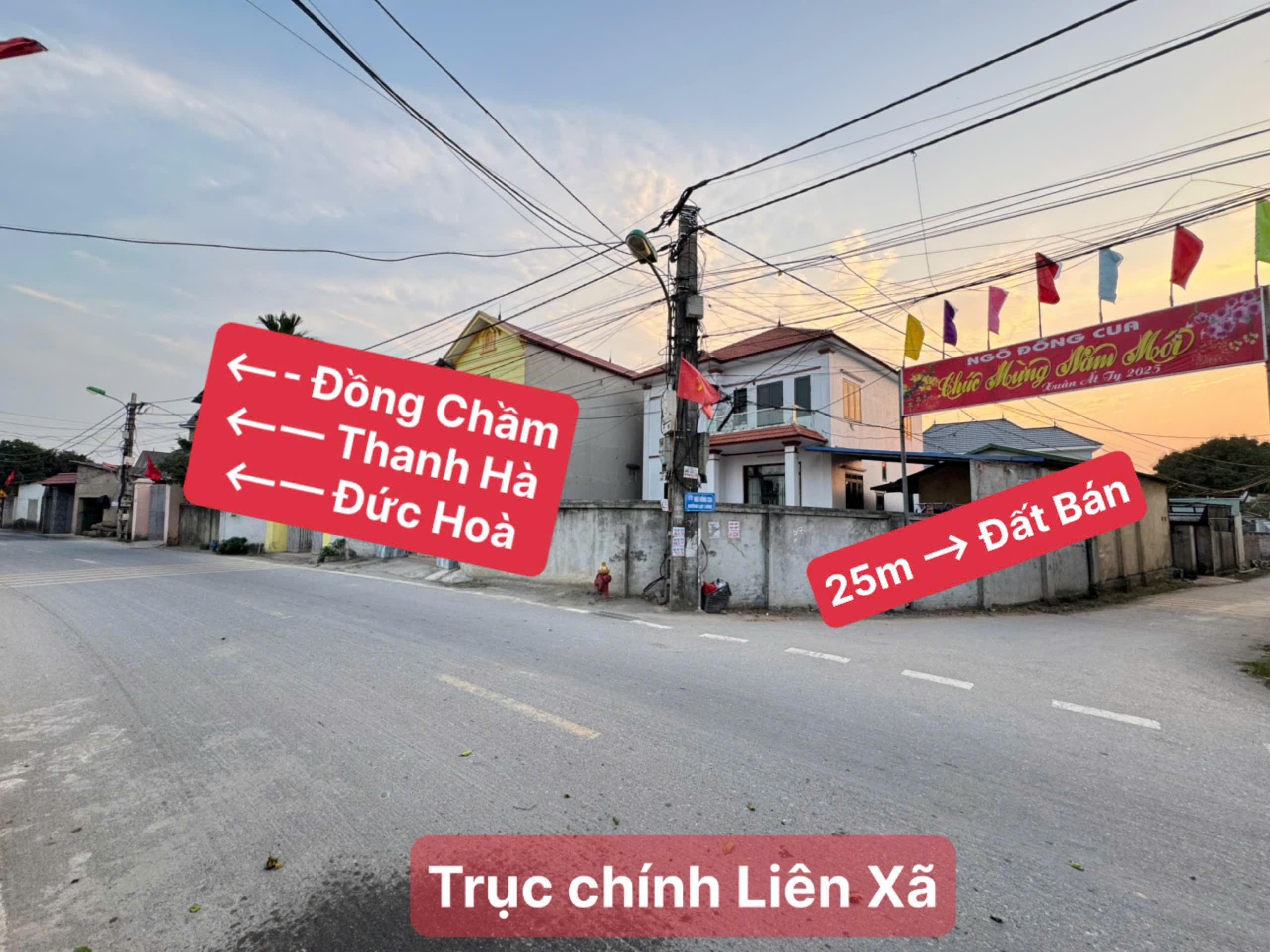 Bán siêu phẩm đồng lạc tiên dược