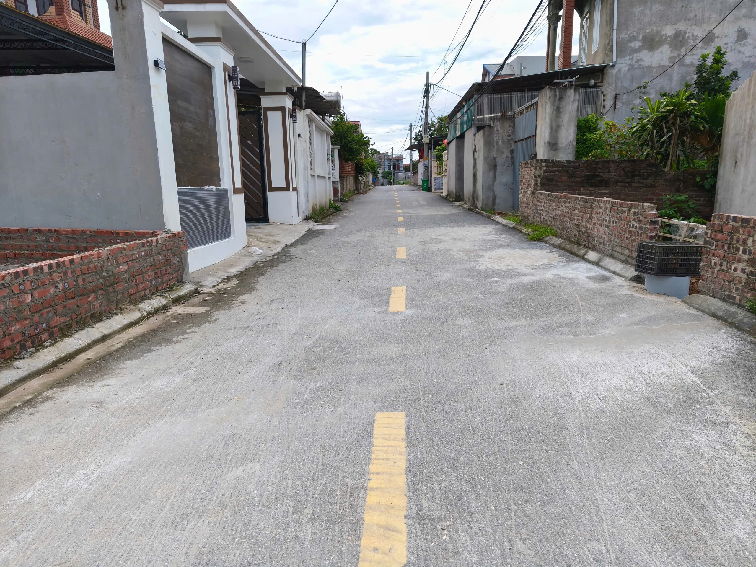 Hàng phân lô quang tiến