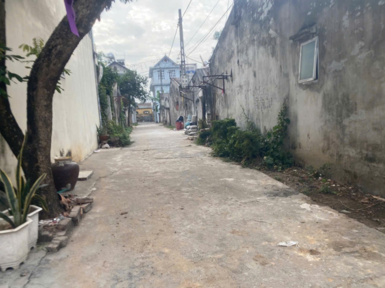 Phân khúc ngon  bổ rẻ đây ạ