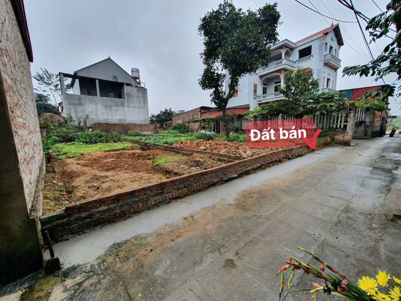 Mở bán 99m full thổ cư quang tiến