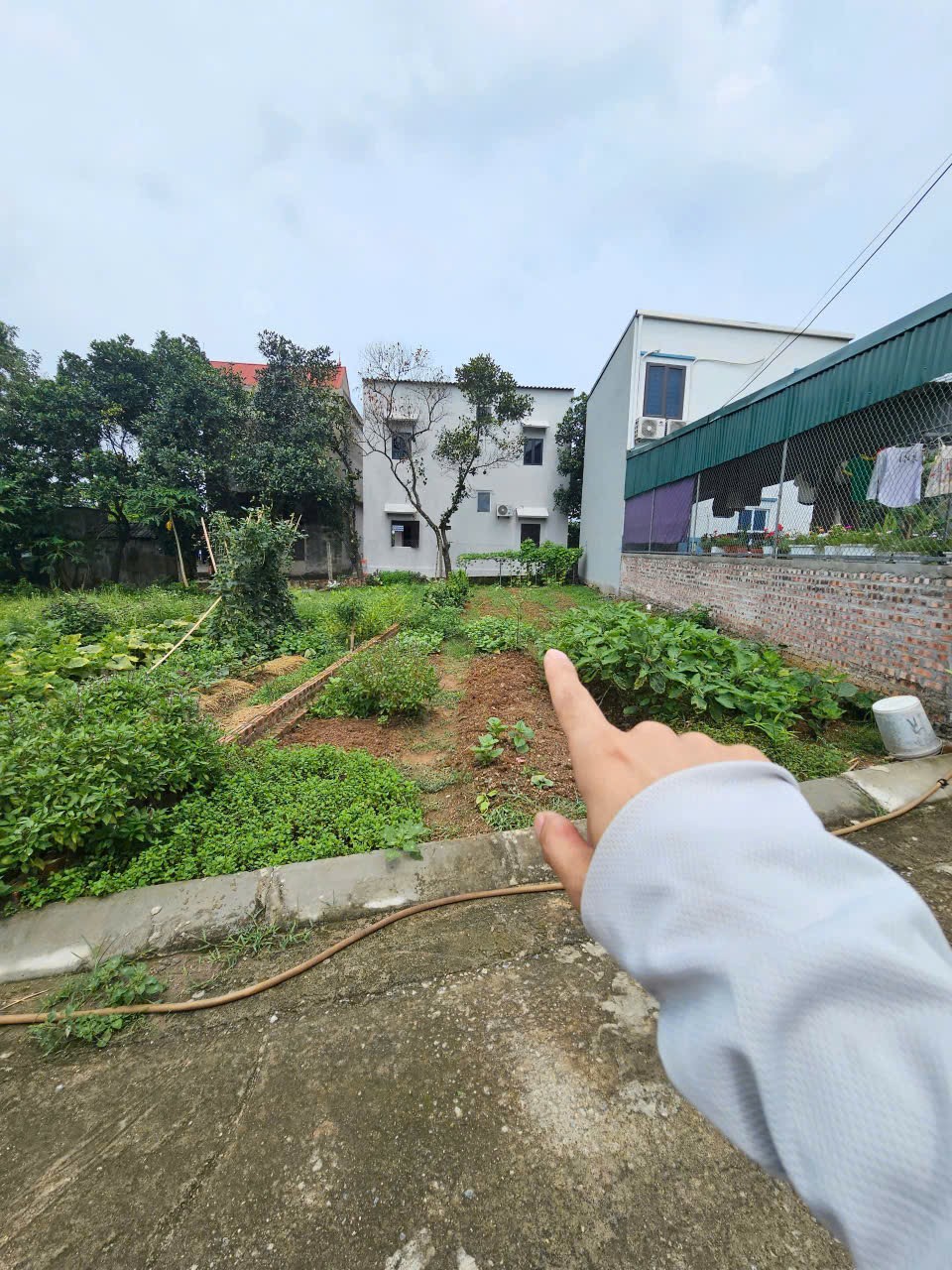 Mở bán 99m full thổ cư quang tiến