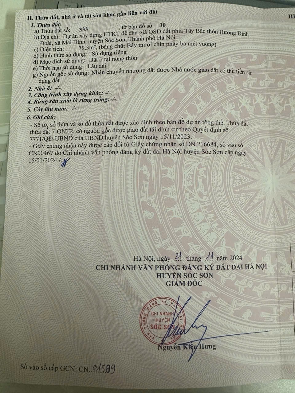 Siêu phẩm đất đấu giá mai đình