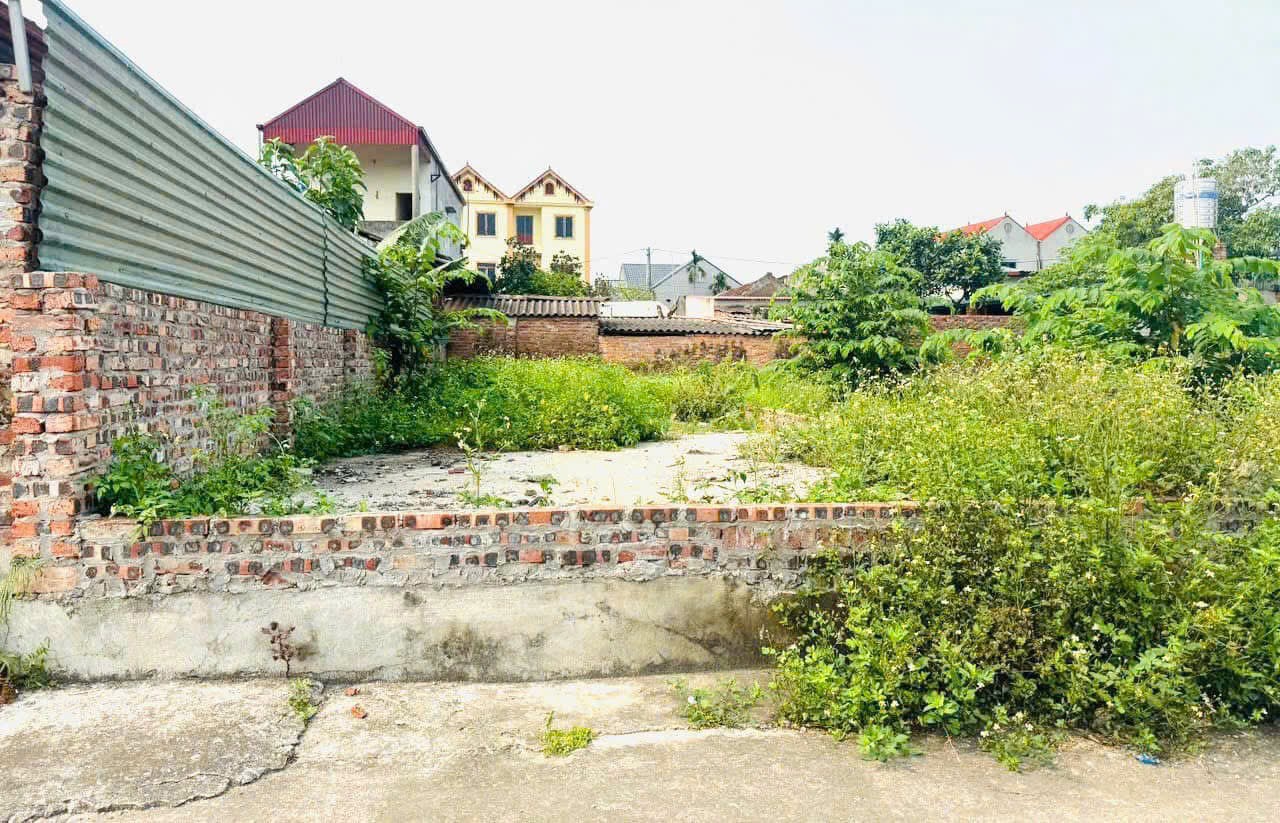 Siêu phẩm bắc phú