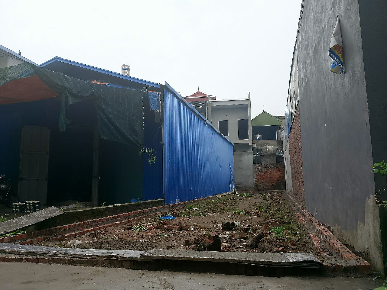 Siêu phẩm nội phật mai đình