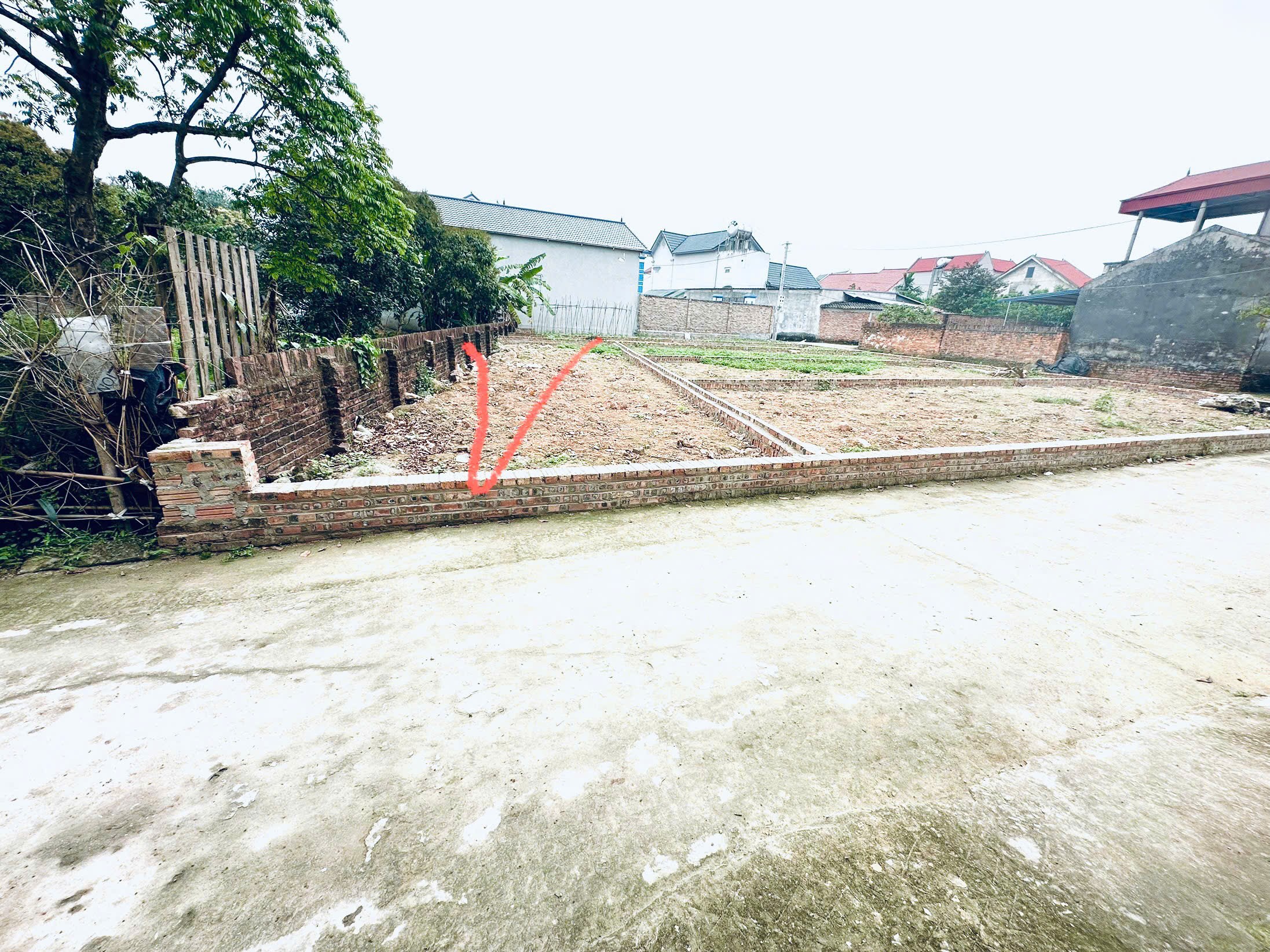 Siêu phẩm phân lô