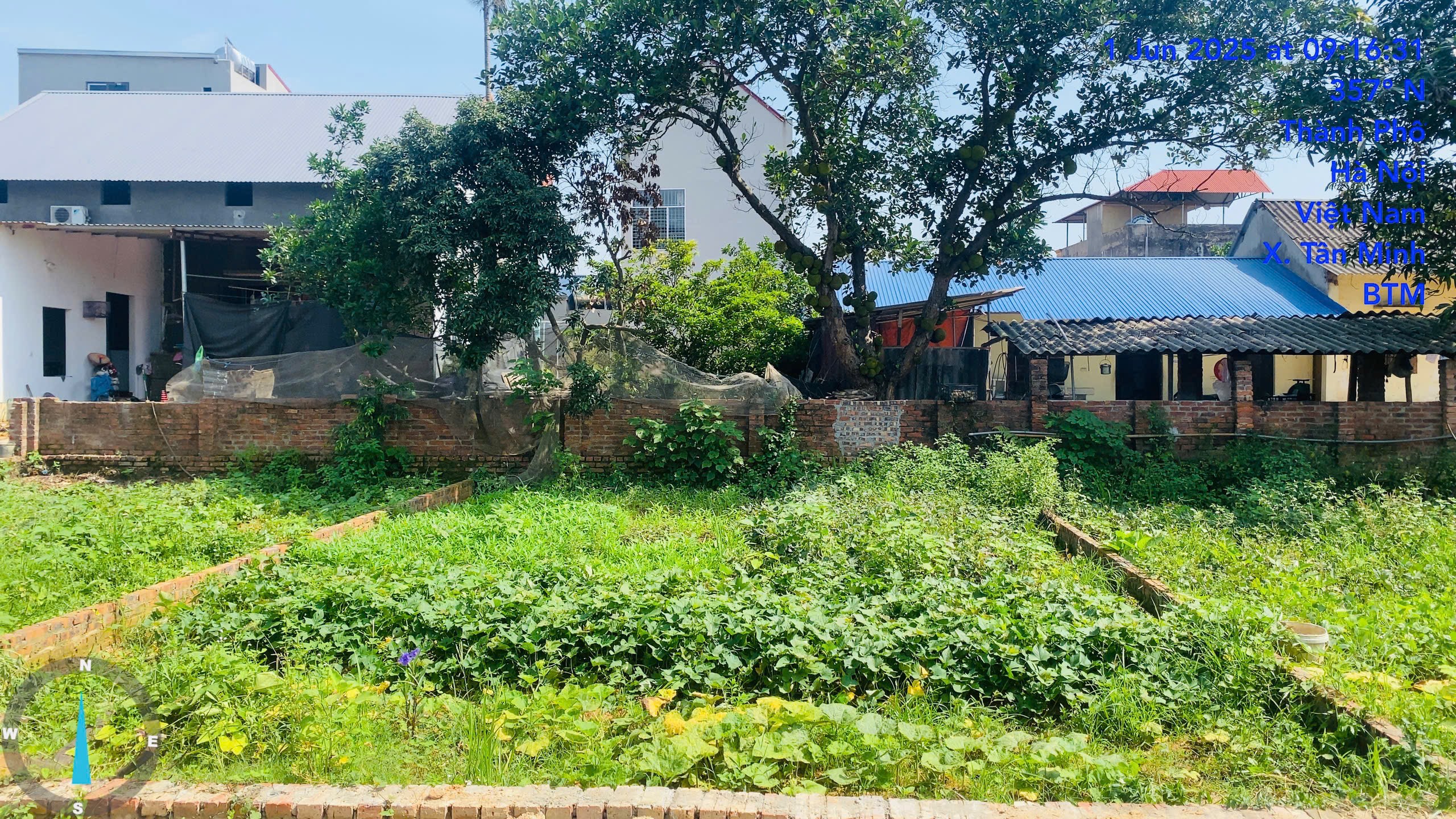Siêu phẩm tân minh