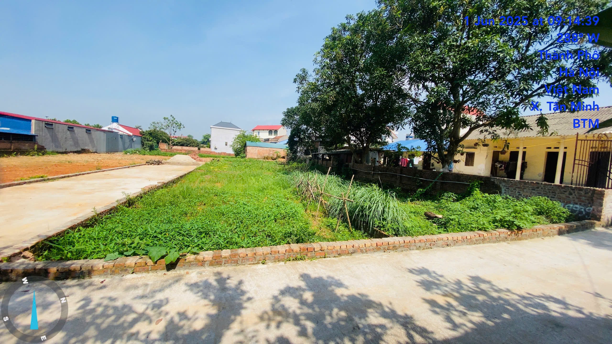 Siêu phẩm tân minh
