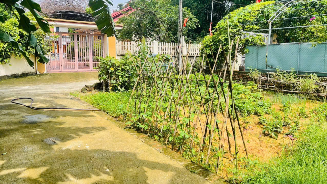Siêu phẩm lô góc 2mt đan tảo sóc sơn