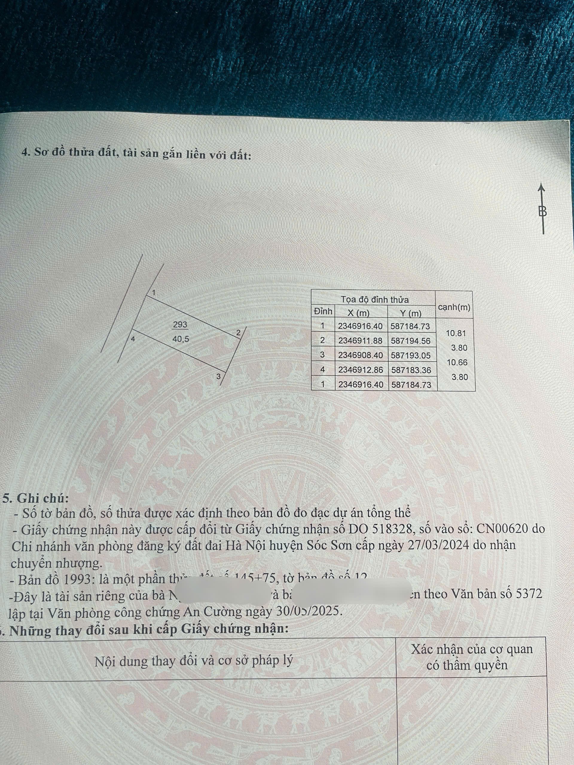 Siêu phẩm mai nội sóc sơn