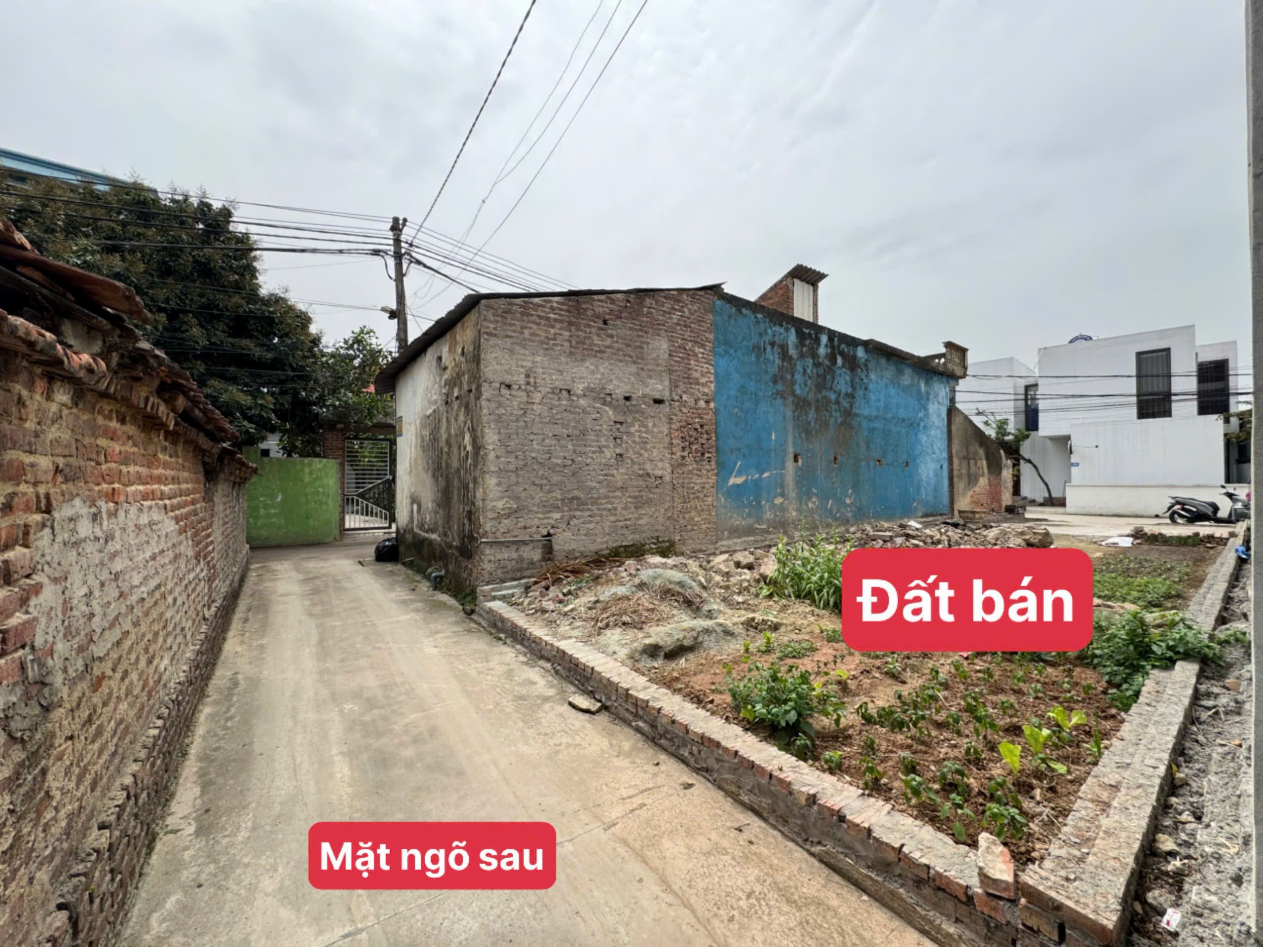 Siêu phẩm kinh doanh đông lai