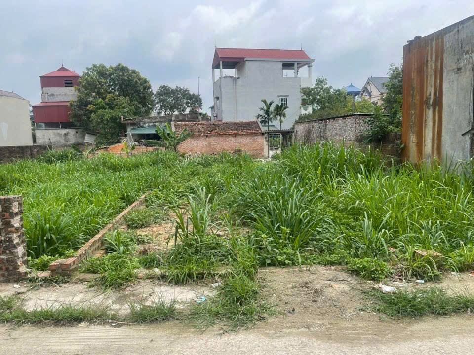 Siêu phẩm trục chính hiền ninh