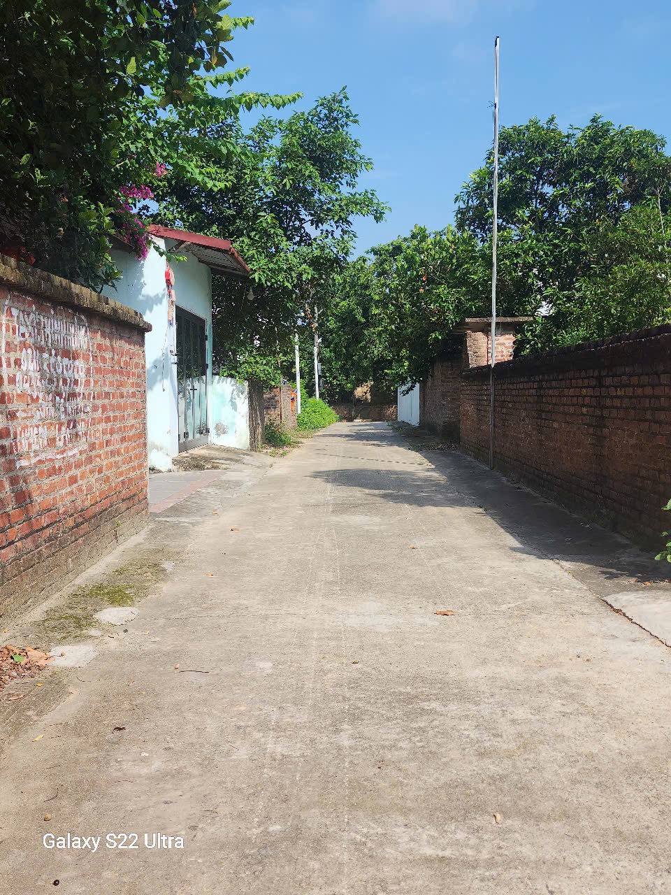 Siêu phẩm minh trí ss