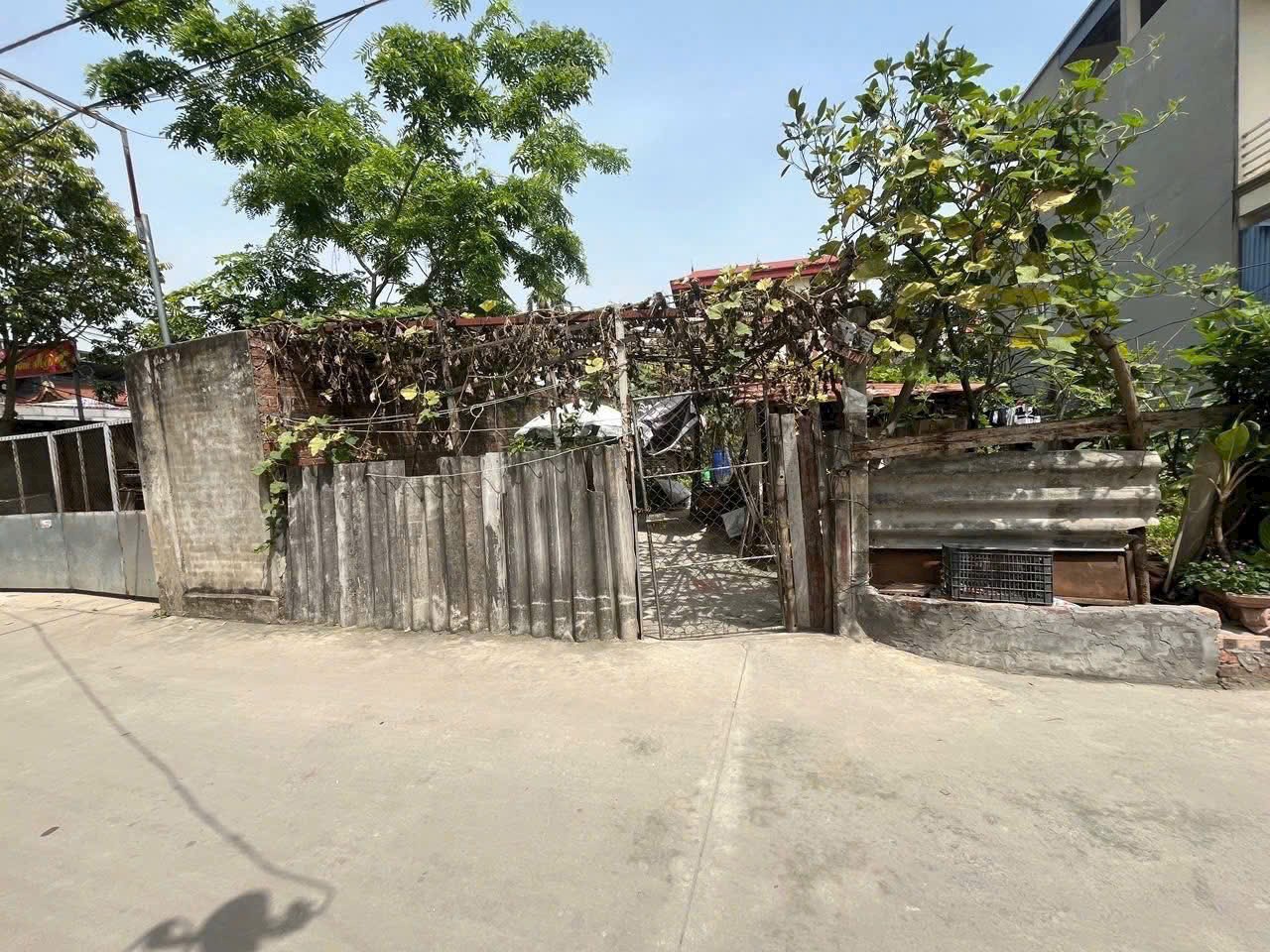 Siêu phẩm lạc nông sóc sơn