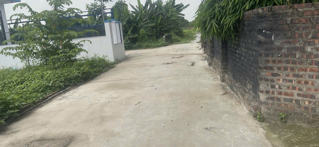 Siêu phẩm minh phú sóc sơn