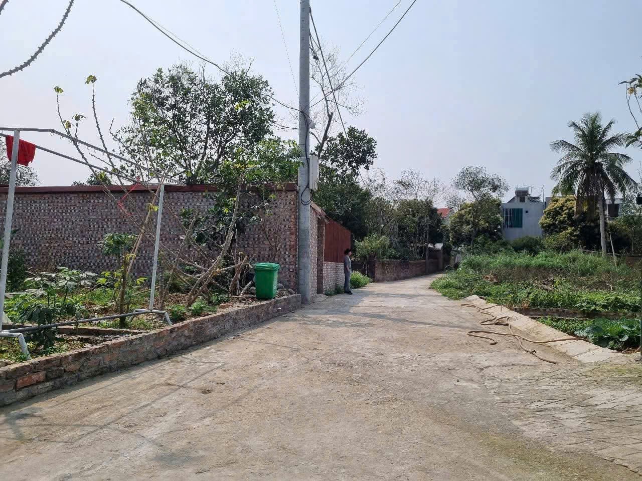 Siêu phẩm đông sơn sóc sơn