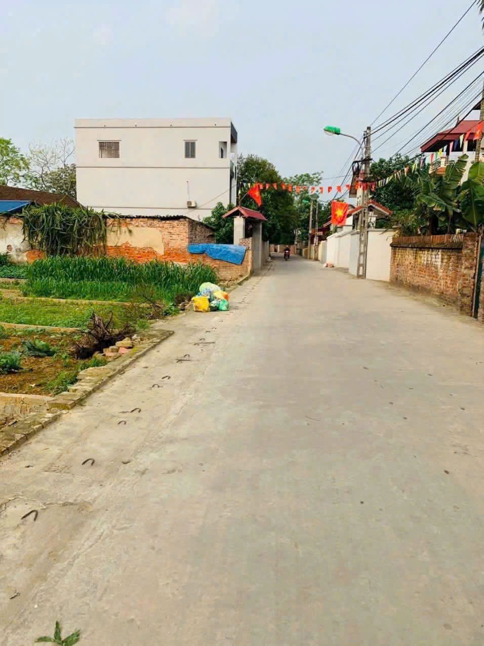 Siêu phẩm trục chính