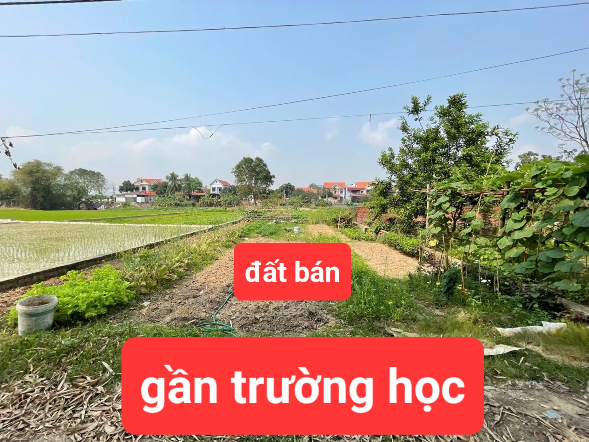 0358357986