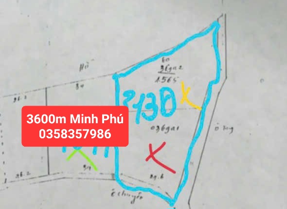 0358357986