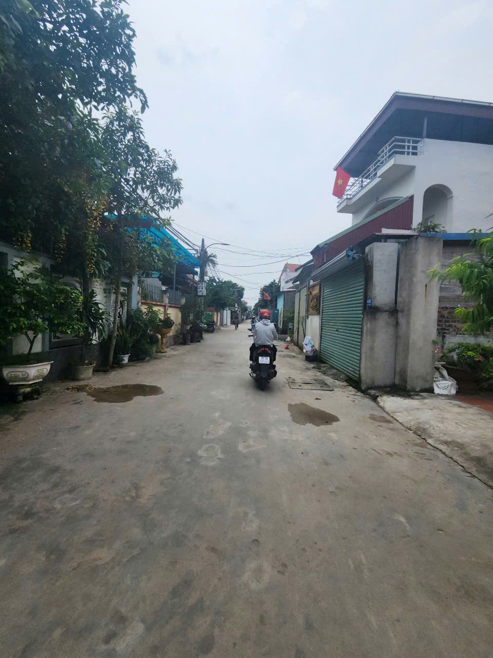 Bán đất