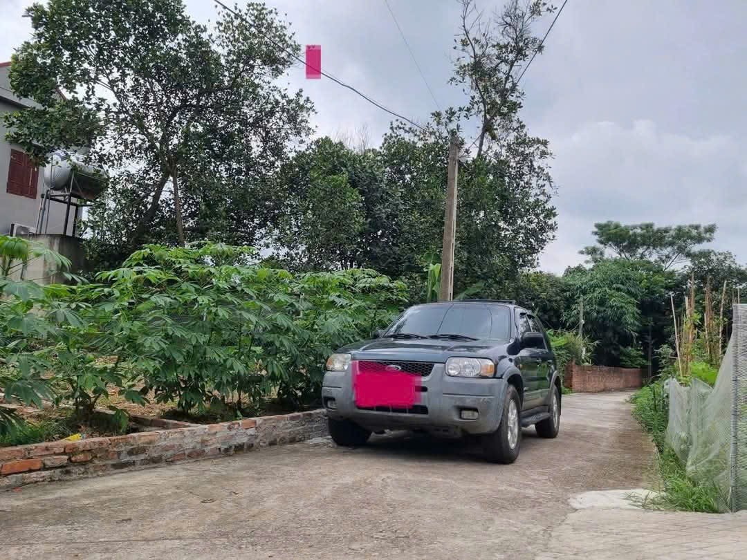 Bán đất