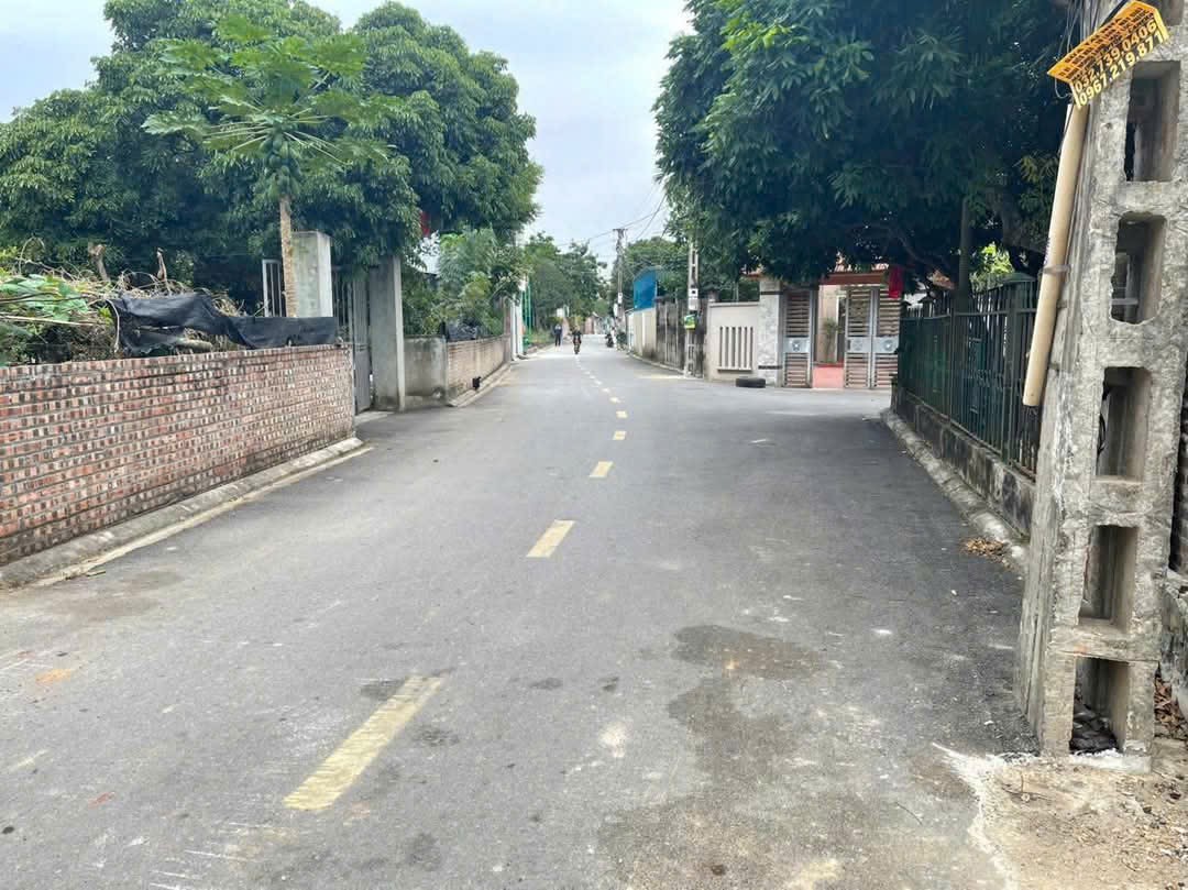 Bán đất