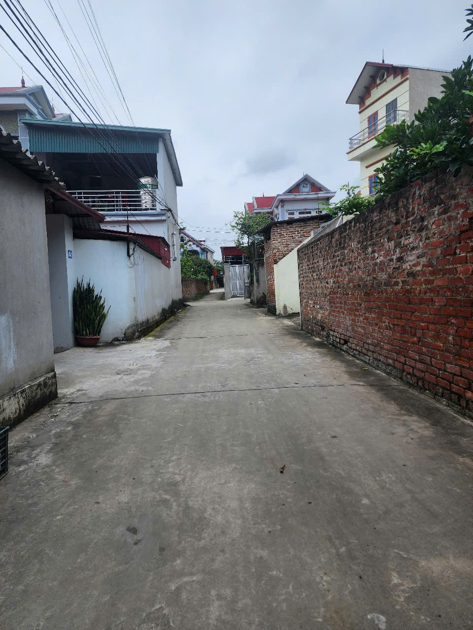 Bán đất