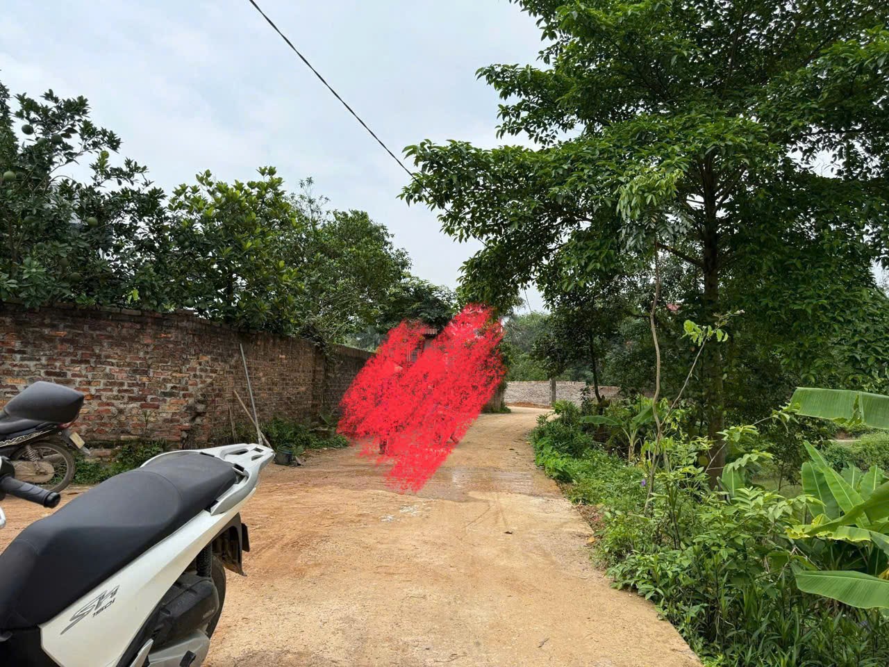 Bán đất