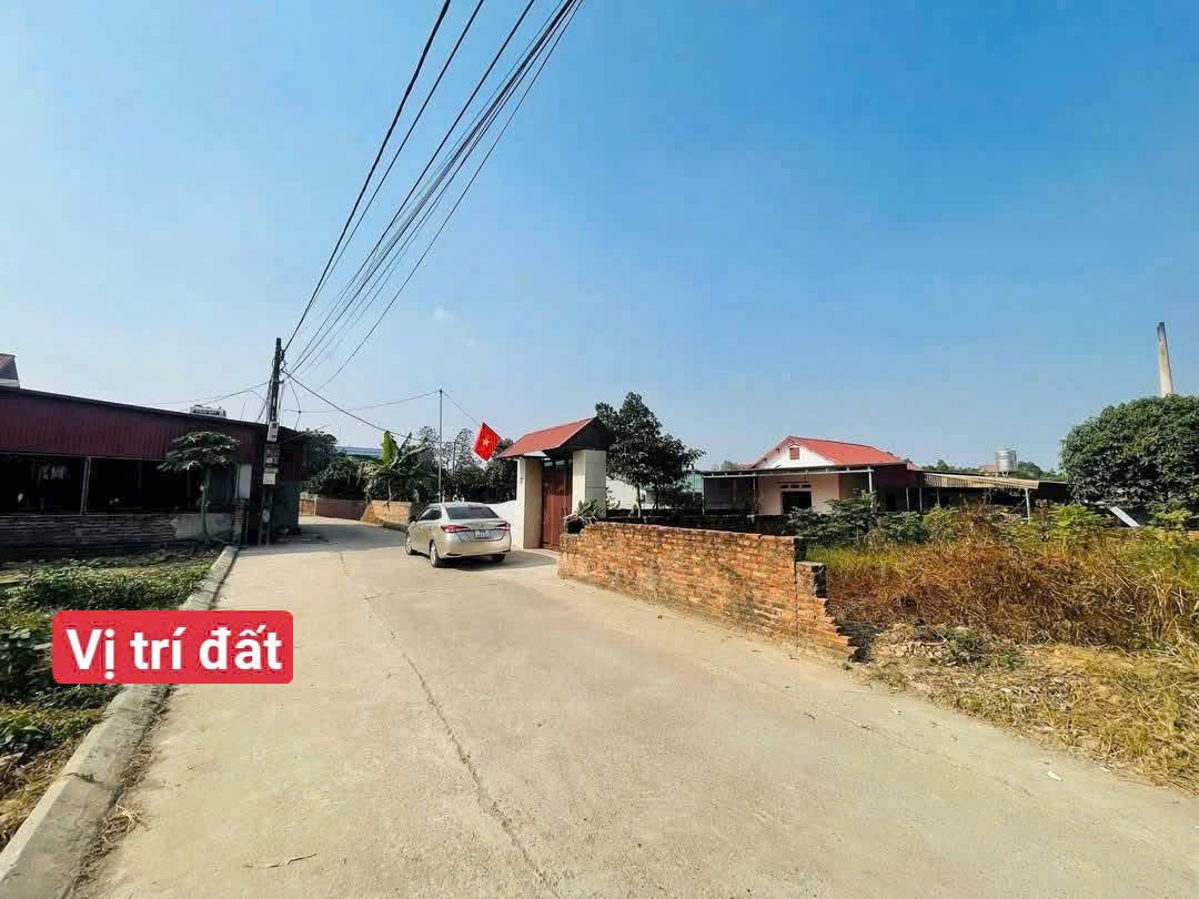 Bán đât