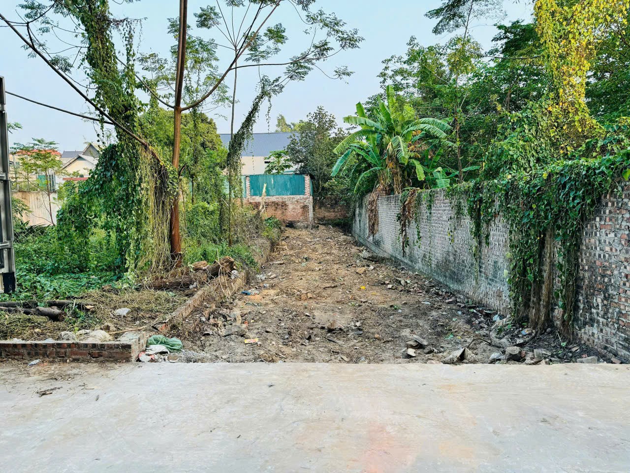 Bán đất