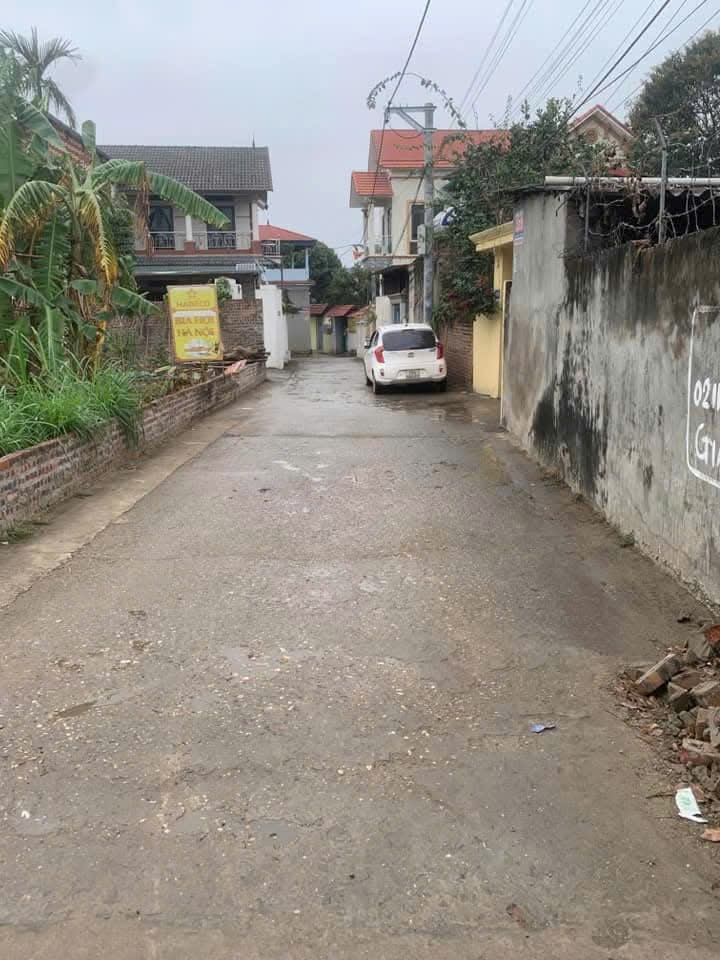 Bán đất