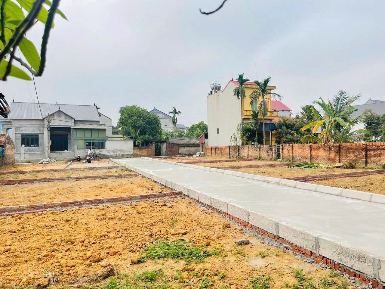 Bán đất