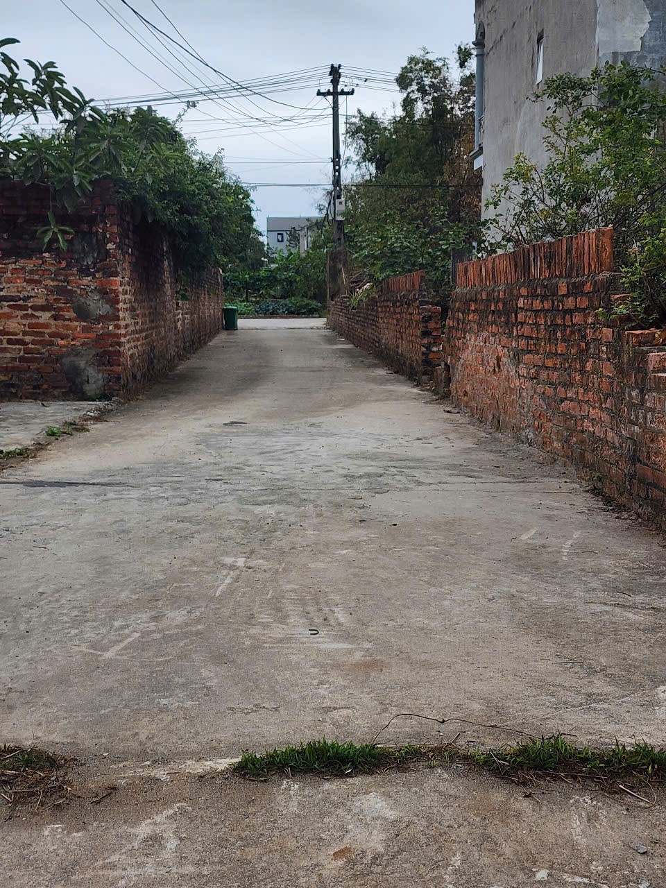 Bán đất