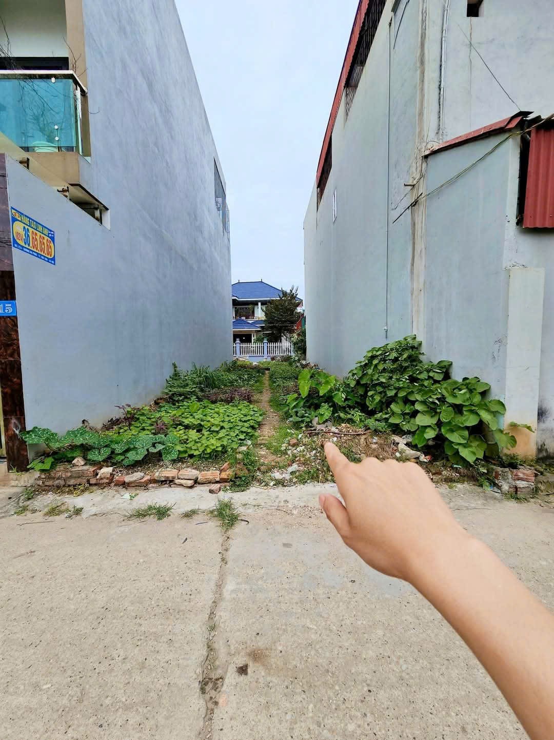 Bán đất