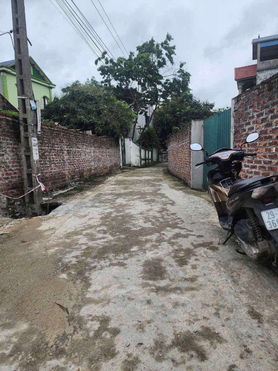 Bán đất