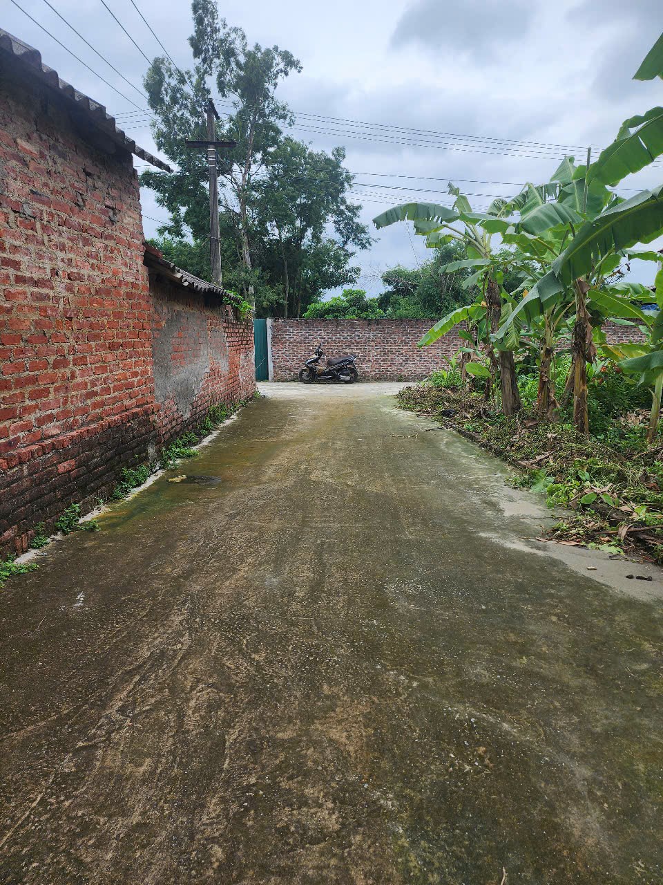 Bán đất
