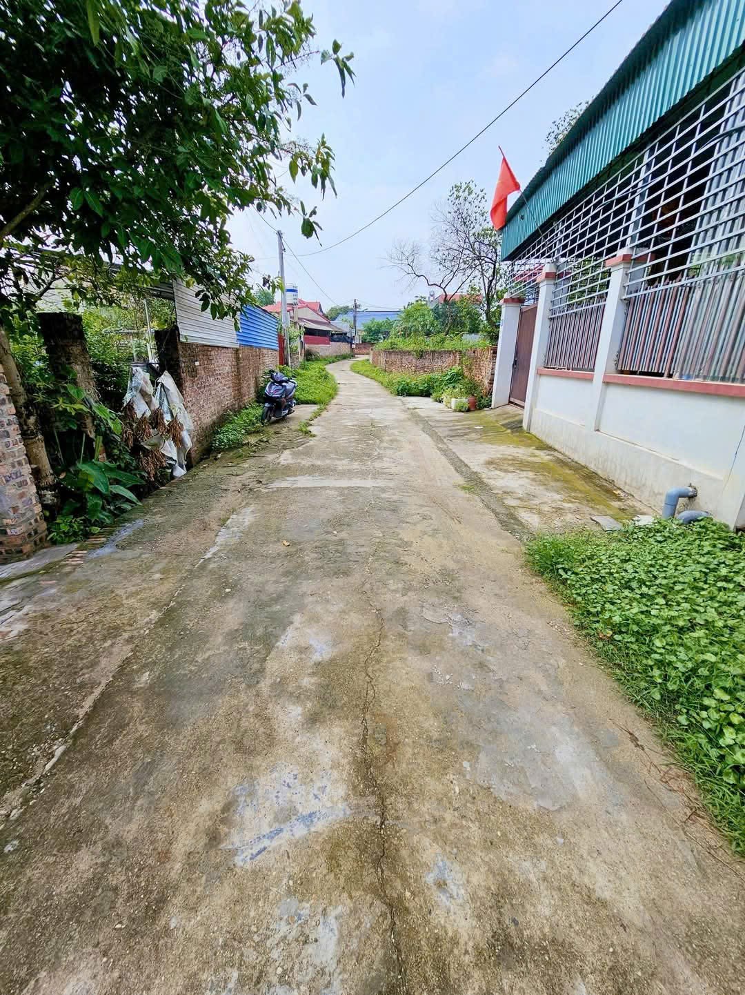 Bán đất