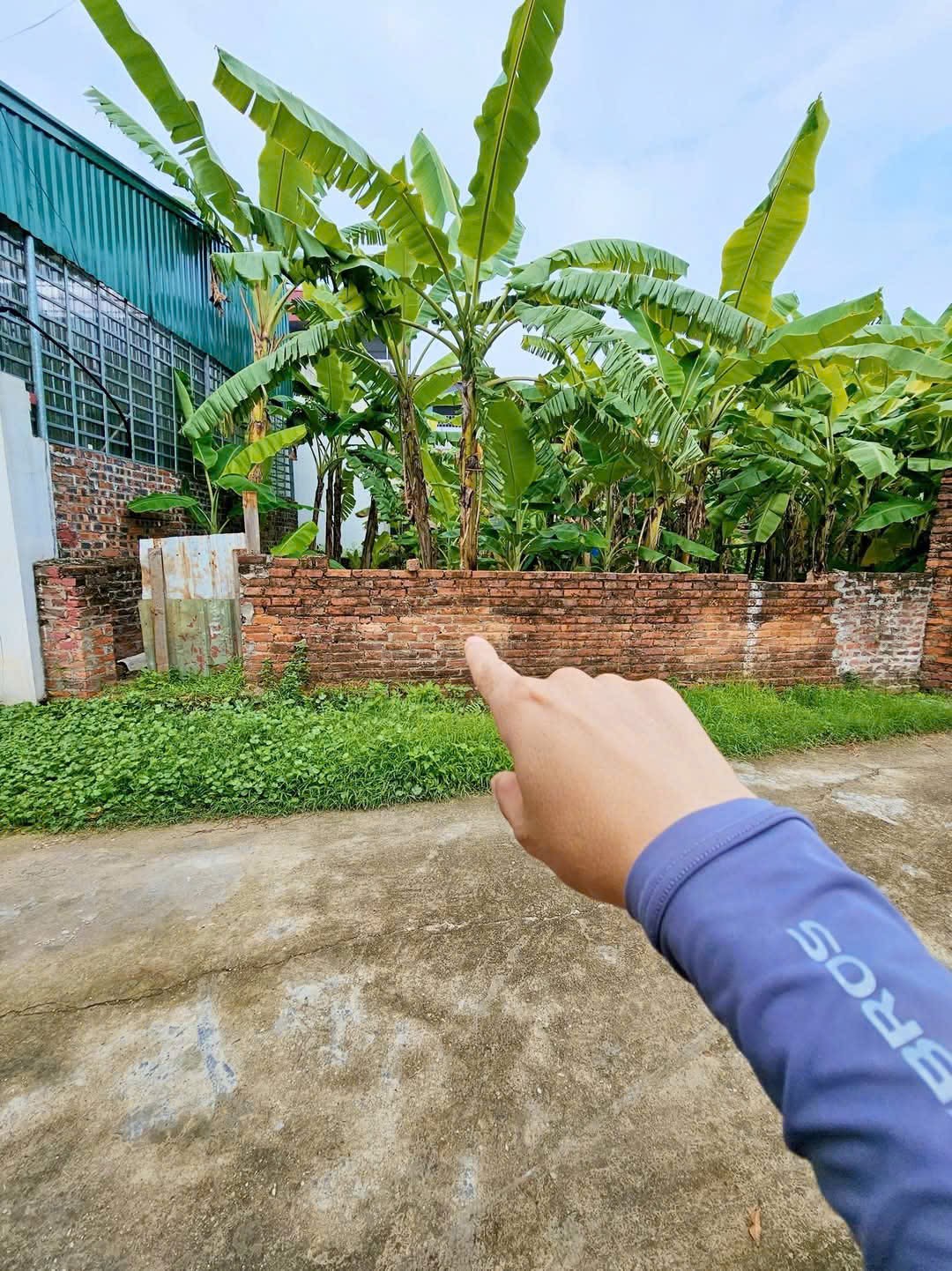 Bán đất