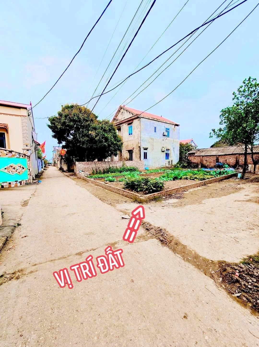 Bán đất