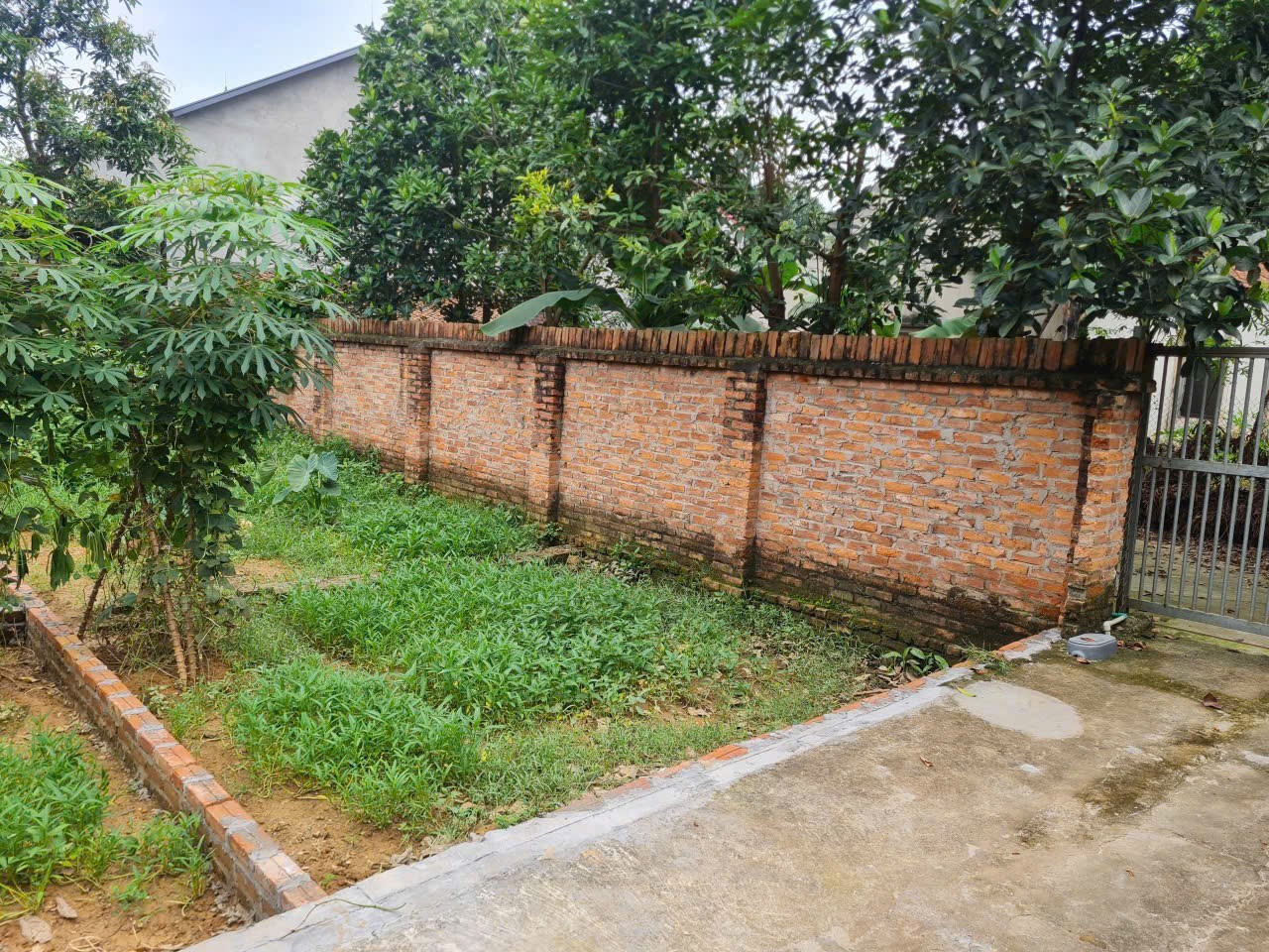 Bán đất