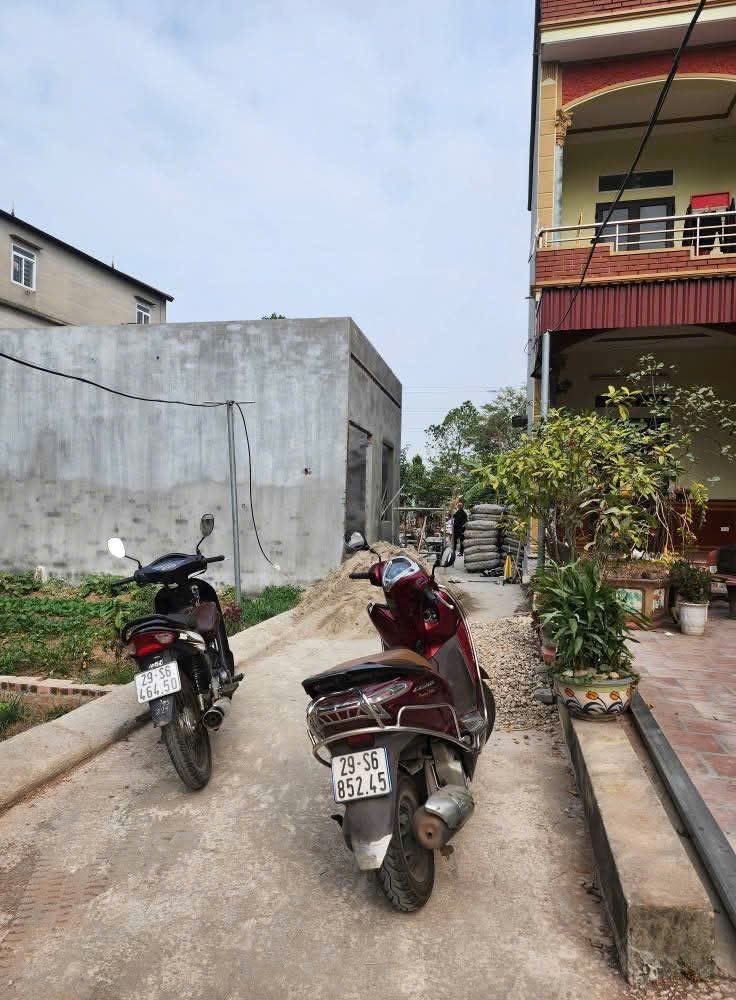 Bán đất