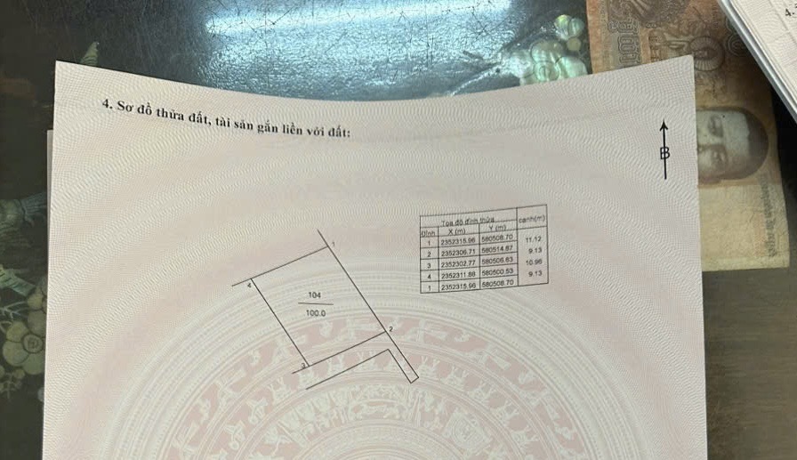 Bạn đất