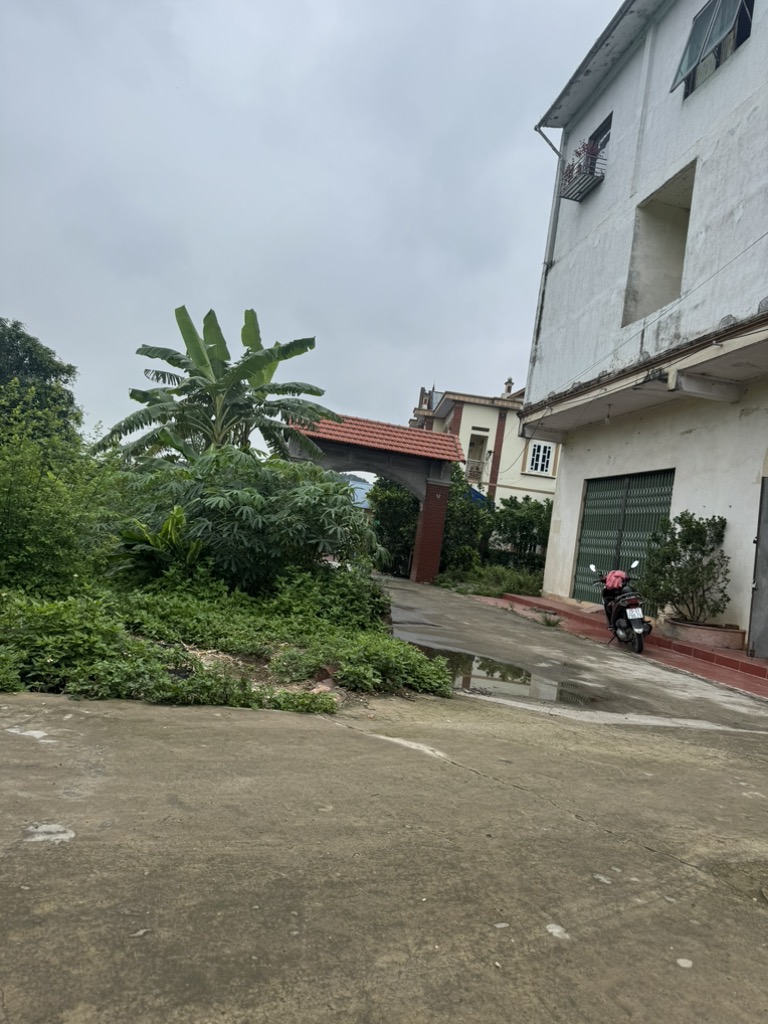 Bán đất