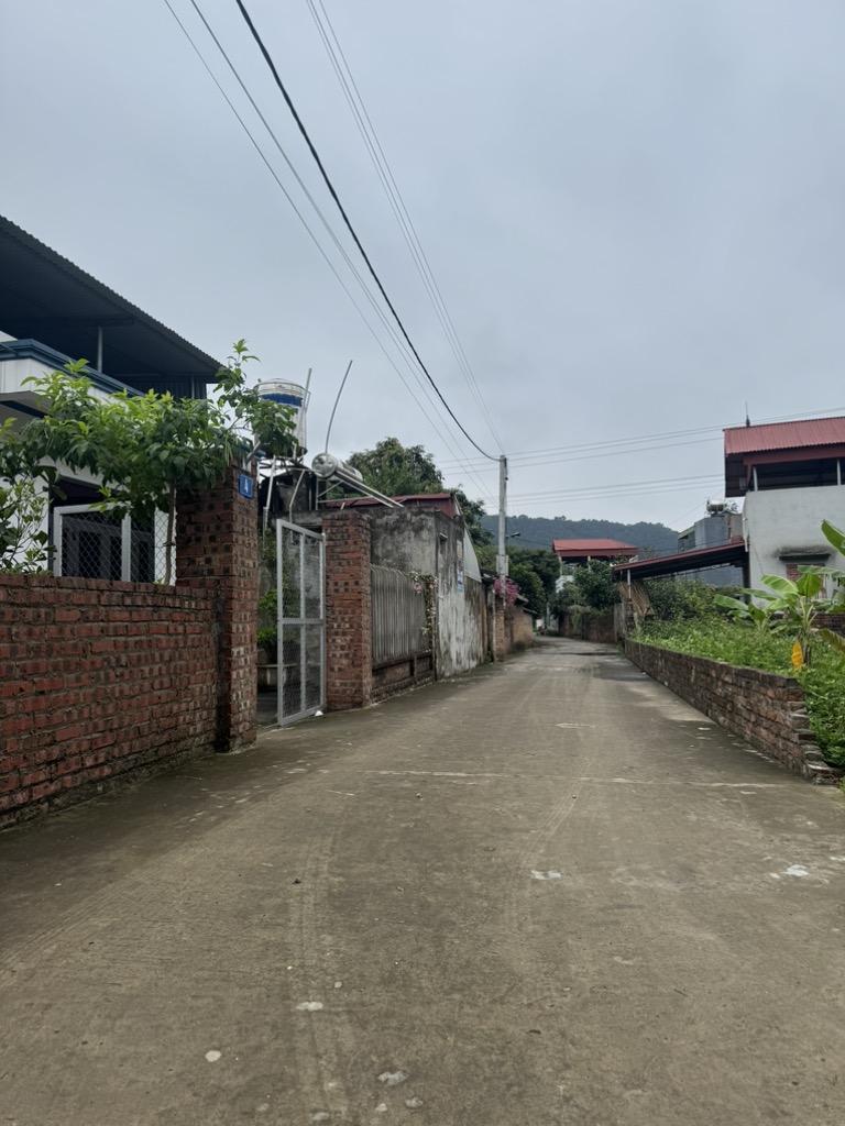 Bán đất