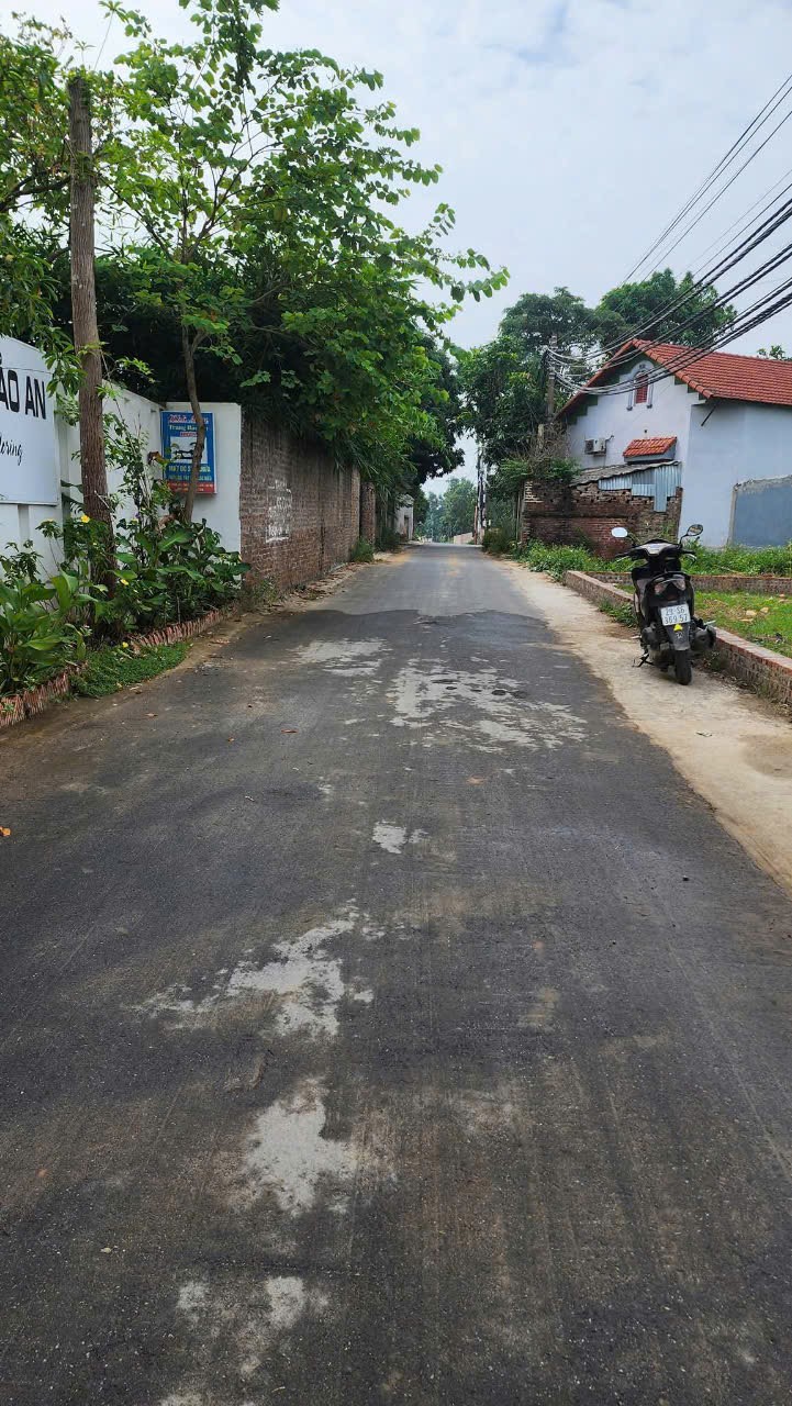 Bán đất