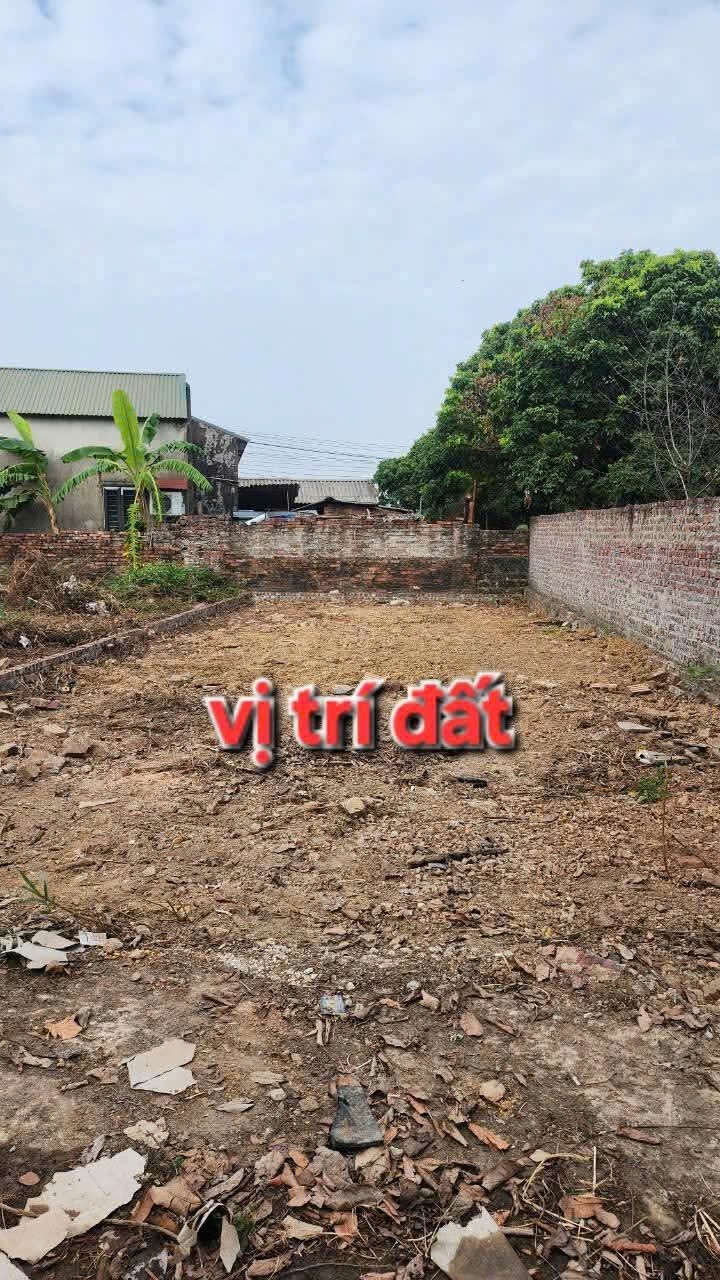 Bán đất