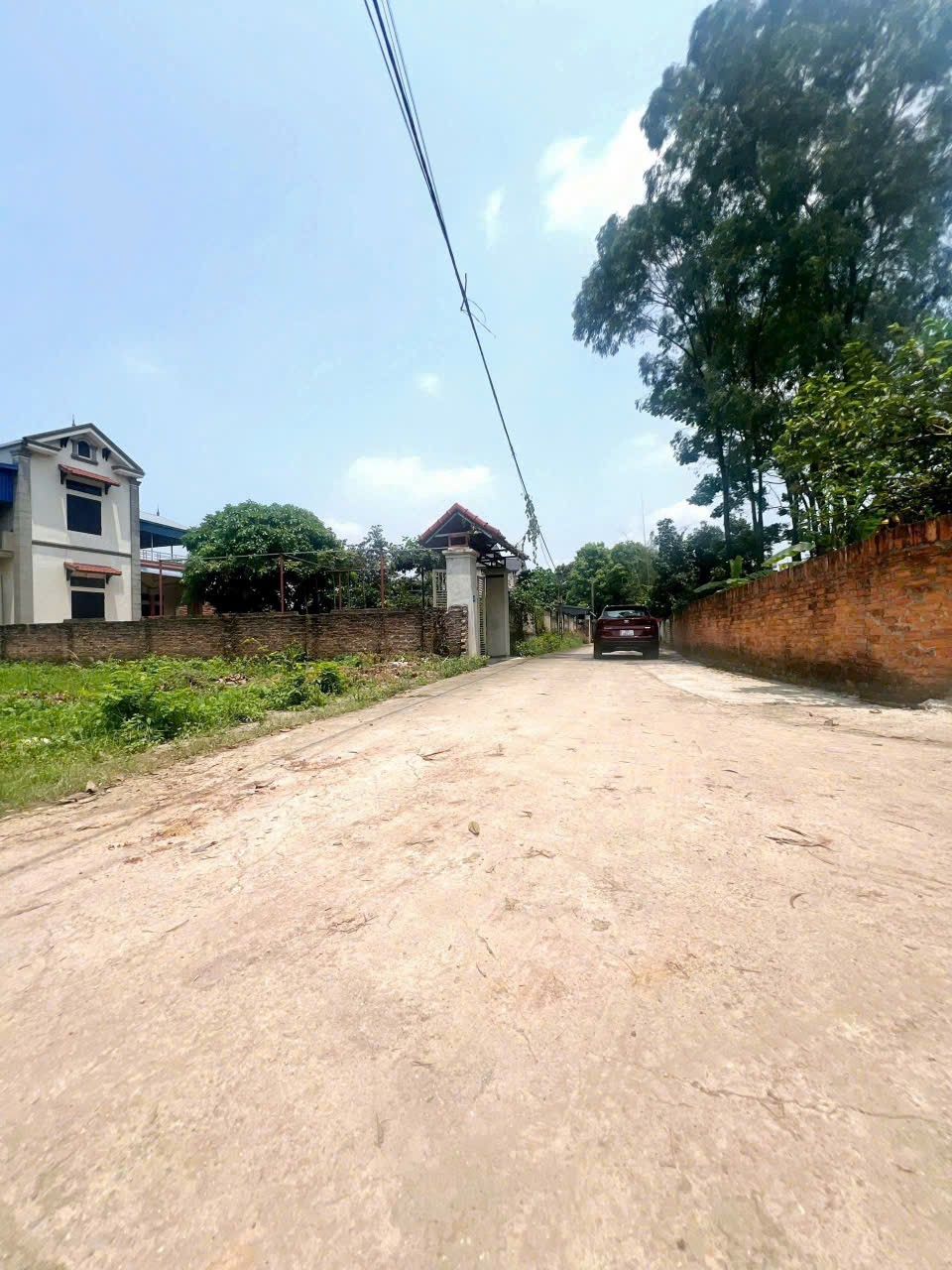 Bán đất
