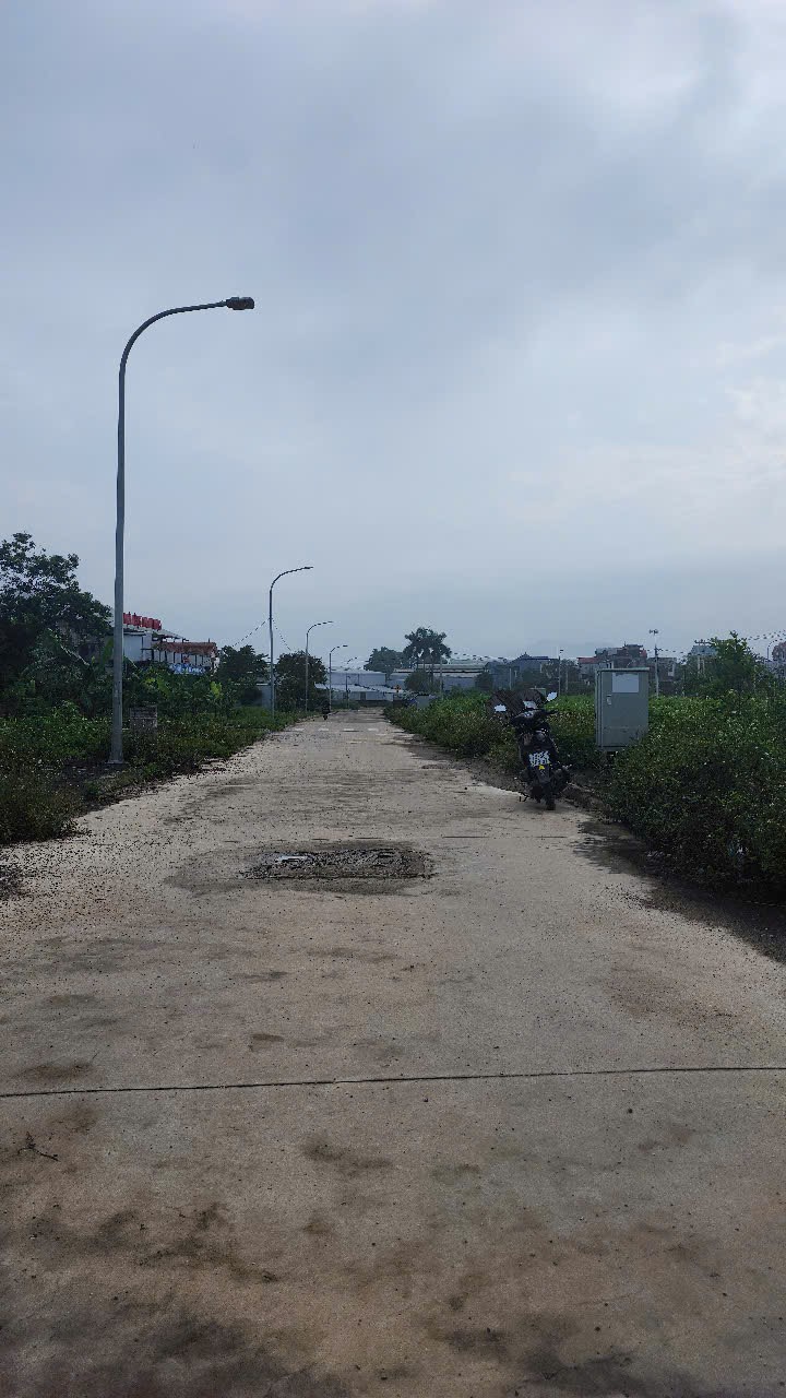Bán đất